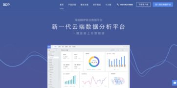 國內(nèi)優(yōu)秀BI產(chǎn)品與數(shù)據(jù)處理服務概覽